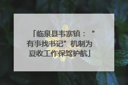 临泉县韦寨镇：“有事找书记”机制为夏收工作保驾护航
