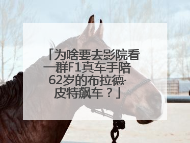 为啥要去影院看一群F1真车手陪62岁的布拉德·皮特飙车？