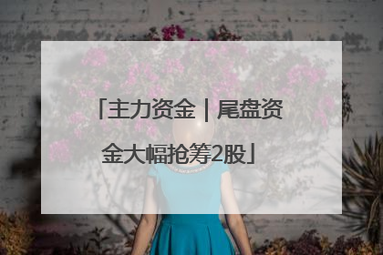 主力资金｜尾盘资金大幅抢筹2股