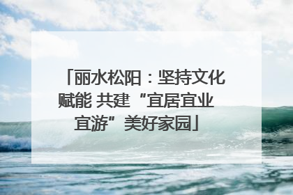 丽水松阳：坚持文化赋能 共建“宜居宜业宜游”美好家园