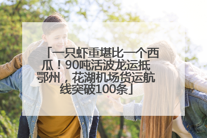一只虾重堪比一个西瓜！90吨活波龙运抵鄂州，花湖机场货运航线突破100条