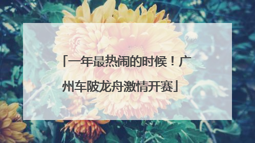 一年最热闹的时候！广州车陂龙舟激情开赛