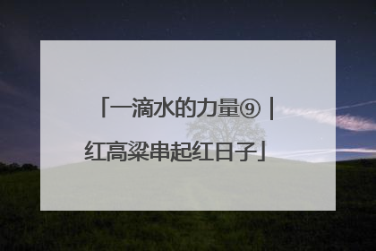 一滴水的力量⑨｜红高粱串起红日子