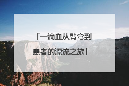 一滴血从臂弯到患者的漂流之旅