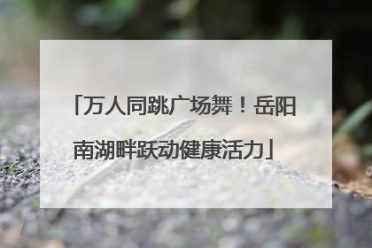 万人同跳广场舞！岳阳南湖畔跃动健康活力