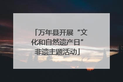 万年县开展“文化和自然遗产日”非遗主题活动
