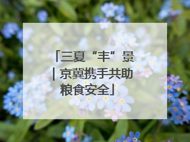 三夏“丰”景｜京冀携手共助粮食安全