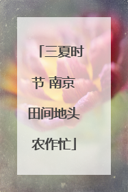 三夏时节 南京田间地头农作忙