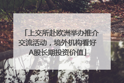 上交所赴欧洲举办推介交流活动，境外机构看好A股长期投资价值