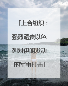 上合组织：强烈谴责以色列对伊朗发动的军事打击
