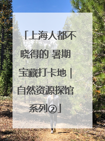 上海人都不晓得的 暑期宝藏打卡地｜自然资源探馆系列②