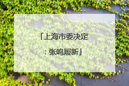 上海市委决定：张鸣履新