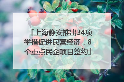 上海静安推出34项举措促进民营经济，8个重点民企项目签约
