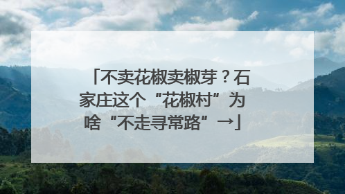 不卖花椒卖椒芽？石家庄这个“花椒村”为啥“不走寻常路”→