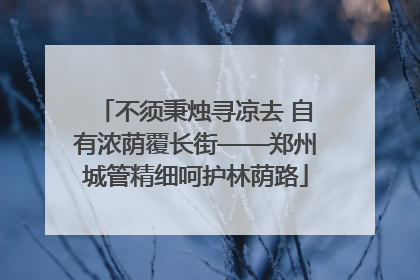 不须秉烛寻凉去 自有浓荫覆长街——郑州城管精细呵护林荫路