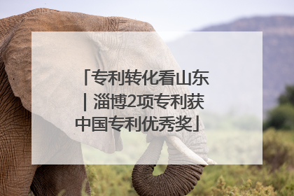 专利转化看山东｜淄博2项专利获中国专利优秀奖