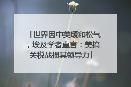 世界因中美缓和松气，埃及学者直言：美搞关税战损其领导力