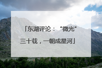 东湖评论：“微光”三十载，一朝成星河