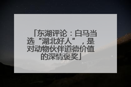 东湖评论：白马当选“湖北好人”，是对动物伙伴道德价值的深情褒奖