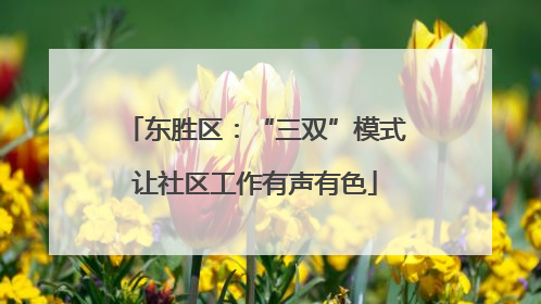 东胜区：“三双”模式让社区工作有声有色
