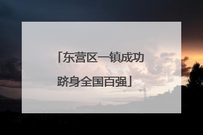 东营区一镇成功跻身全国百强