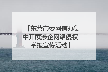 东营市委网信办集中开展涉企网络侵权举报宣传活动
