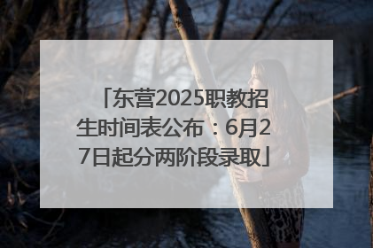 东营2025职教招生时间表公布：6月27日起分两阶段录取