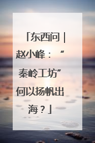 东西问｜赵小峰：“秦岭工坊”何以扬帆出海？