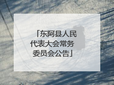 东阿县人民代表大会常务委员会公告