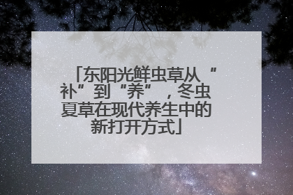 东阳光鲜虫草从“补”到“养”，冬虫夏草在现代养生中的新打开方式