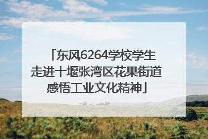 东风6264学校学生走进十堰张湾区花果街道感悟工业文化精神
