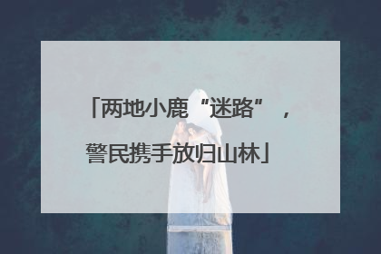 两地小鹿“迷路”，警民携手放归山林