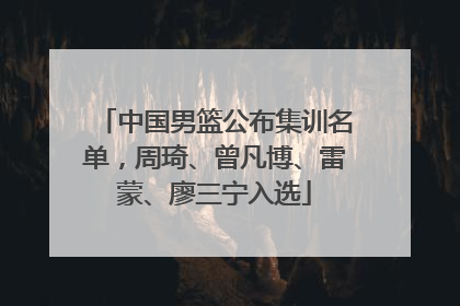 中国男篮公布集训名单，周琦、曾凡博、雷蒙、廖三宁入选
