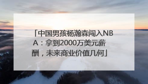 中国男孩杨瀚森闯入NBA：拿到2000万美元薪酬，未来商业价值几何