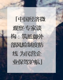 中国经济微观察·专家谈构：筑抵御外部风险制度防线 为民营企业保驾护航