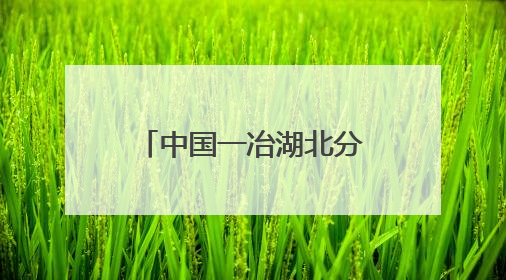 中国一冶湖北分公司信阳步行街项目开展全国安全咨询日活动