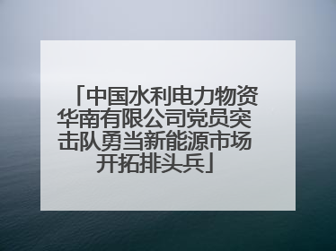 中国水利电力物资华南有限公司党员突击队勇当新能源市场开拓排头兵