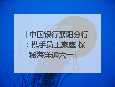 中国银行襄阳分行：携手员工家庭 探秘海洋迎六一