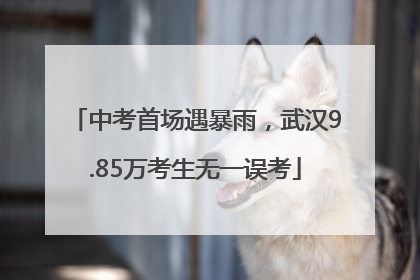 中考首场遇暴雨，武汉9.85万考生无一误考