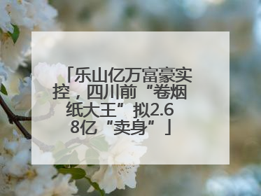 乐山亿万富豪实控，四川前“卷烟纸大王”拟2.68亿“卖身”