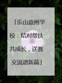 乐山嘉州学校：结对帮扶共成长，送教交流谱新篇