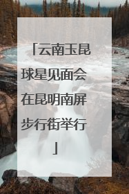 云南玉昆球星见面会在昆明南屏步行街举行