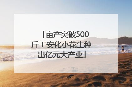 亩产突破500斤！安化小花生种出亿元大产业