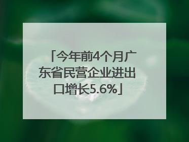 今年前4个月广东省民营企业进出口增长5.6%