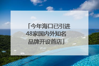 今年海口已引进48家国内外知名品牌开设首店
