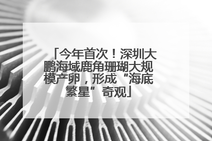 今年首次！深圳大鹏海域鹿角珊瑚大规模产卵，形成“海底繁星”奇观