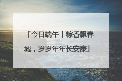 今日端午丨粽香飘春城，岁岁年年长安康