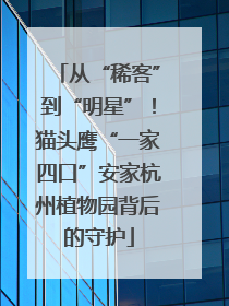 从“稀客”到“明星”！猫头鹰“一家四口”安家杭州植物园背后的守护