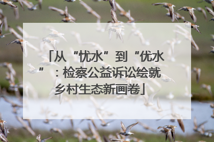 从“忧水”到“优水”：检察公益诉讼绘就乡村生态新画卷