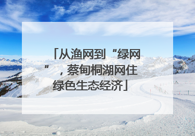 从渔网到“绿网”，蔡甸桐湖网住绿色生态经济